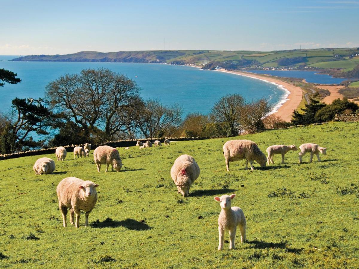 1 At The Beach Beesands ภายนอก รูปภาพ